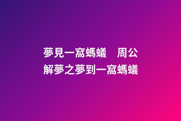夢見一窩螞蟻　周公解夢之夢到一窩螞蟻